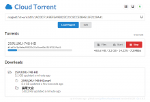 CloudTorrent：VPS上简单方便的磁力链接下载工具-荒岛