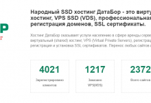 DataBor：95RUB/月KVM-俄罗斯1H512M/3GSSD/100M/不限流量-荒岛