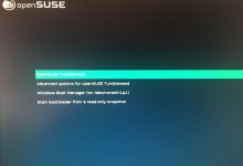 实体机安装openSUSE（双系统）-荒岛