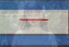 记录博客VPS系统Debian10升级11过程-荒岛