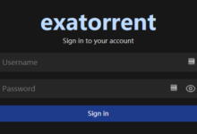 exatorrent：一个用Go编写的BT客户端-荒岛