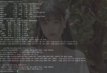 Kimsufi独服安装openSUSE Leap15.3-荒岛