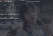 OVH Proxmox VE ZFS 重置ROOT密码-荒岛
