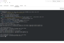 OVH Debian13安装Incus开独立IPv6小鸡-荒岛