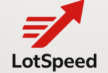 VPS配置LotSpeed单边加速-荒岛