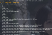 AIChat：您的赛博AI命令行工具-荒岛