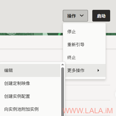 龟壳降配及彻底修复引导丢失的问题-荒岛